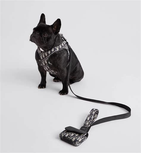 guinzaglio dior